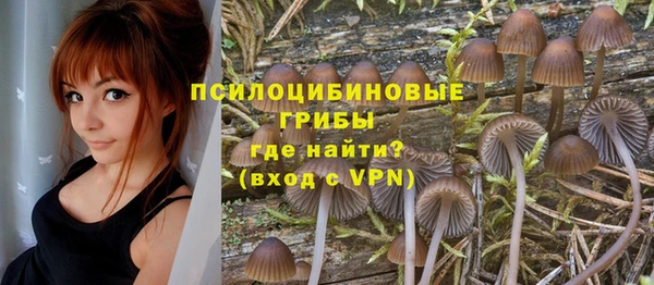 COCAINE Белокуриха