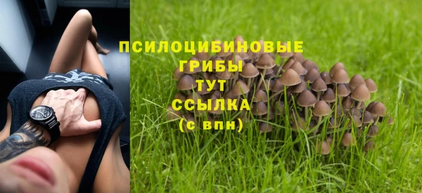 COCAINE Белокуриха