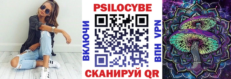 MEGA онион  магазин  наркотиков  Озёрск  Псилоцибиновые грибы Magic Shrooms 